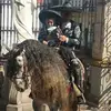 Ulises - @ulisestorres136 - TikTok