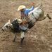 Ulises Vera - Facebook