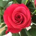 Ulla Andreasson - Facebook