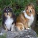 Ulla Andreasson - Facebook