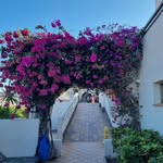Ulla Bäckman Persson - @ullabackmanpersson - Instagram