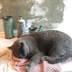 Ulla Hansen - @ullahansen_ceramics - Instagram