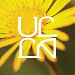 Ulla Johnson Los Angeles - @ullajohnsonla - Instagram