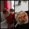Ulla-britt Jonsson - @ullabritt.jonsson - TikTok