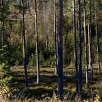 Ulla Jonsson - Facebook
