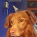 Trude Ulla Solberg - Facebook