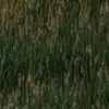 youngula - @youngulla - TikTok