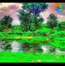 Ilyaas Cabdi - Facebook