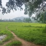Ullas Singh Bhokta - Facebook