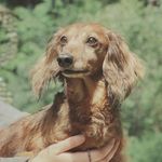 Charlie Ulysses Brown - @charles.dox - Instagram
