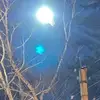 Ulysses Hall - @ulysses.hall6 - TikTok