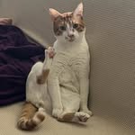 Mr Sushifer Ulysses Stuart Howard I - @mr.sushifer - Instagram