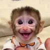 ulysses_m - @ulysses_m - TikTok