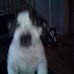 Ulysses Munson - Facebook