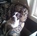 Ulysses Munson - Facebook