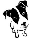 Ulysses Dog Training - @ulyssesdogwalker - Instagram