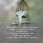 Uma Maheswari jayachandran - @jayachandranumamaheswari - Instagram
