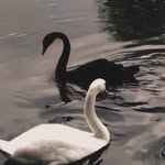 Umair Baig - @md_umair_2022 - Instagram