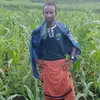 Umar Abdallah - @umar.abdallah4 - TikTok