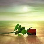 Umar Ayyub - @umar.ayyub.16 - Instagram