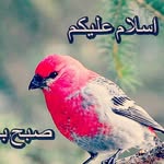 UMAR AYYUB SAIYED - @umarayyubsa - Instagram