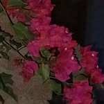 Umar Gul - @asif683157 - Instagram