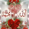 محمدطلحہ - @umargul543 - TikTok