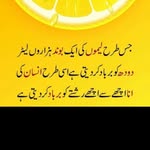 Umar Khawar - @khawar2501 - Instagram