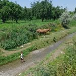 umarjan - @umar__kurbanov_ - Instagram