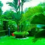 umar love - @umar.love - Instagram