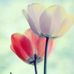 umar muhammad - Facebook