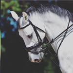 Umar Shafiq - @umar__shafiq - Instagram