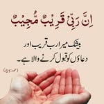 Umar Shafiq - @umar.shafiq.1420 - Instagram