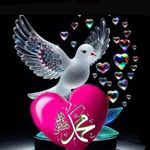 Umar Singh - @umarsingh127 - Instagram