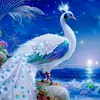 umarwaheed06 - @umarwaheed06 - TikTok