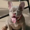 umbertoperez160 - @umbertoperez160 - TikTok