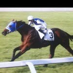Umberto Rispoli - @umberto_rispoli88 - Instagram