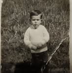Umberto Traini - Facebook