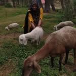 Shaheena Umbreen - @shaheenaumbreen - Instagram