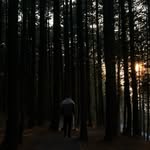 Umer Abdullah - @sonotumer - Instagram