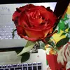 Humera Razzaq - @humerarazzaq - TikTok