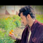 umer Sheikh - @umersheikh9685 - Instagram