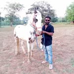 Umeshkumar Parmar - @umeshparmar4863 - Instagram