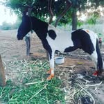 Umeshkumar Parmar - @umeshkumarparmar27 - Instagram