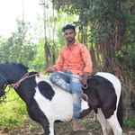 Umeshkumar Parmar - @umeshkumar.parmar.311 - Instagram