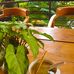 Iris Spa &amp; Resort una Hotels-Jim Corbett - Facebook