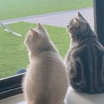 Una_Luo - @tataro_nugget - Instagram