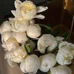 Una Moore - @unamoore9995e - Instagram