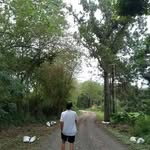 Baculio EF R EN - @ungle_jay - Instagram
