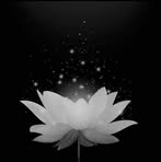 Ung Le - Facebook